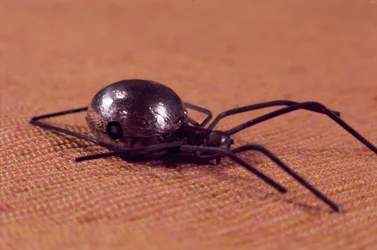 Mechanische Spinne